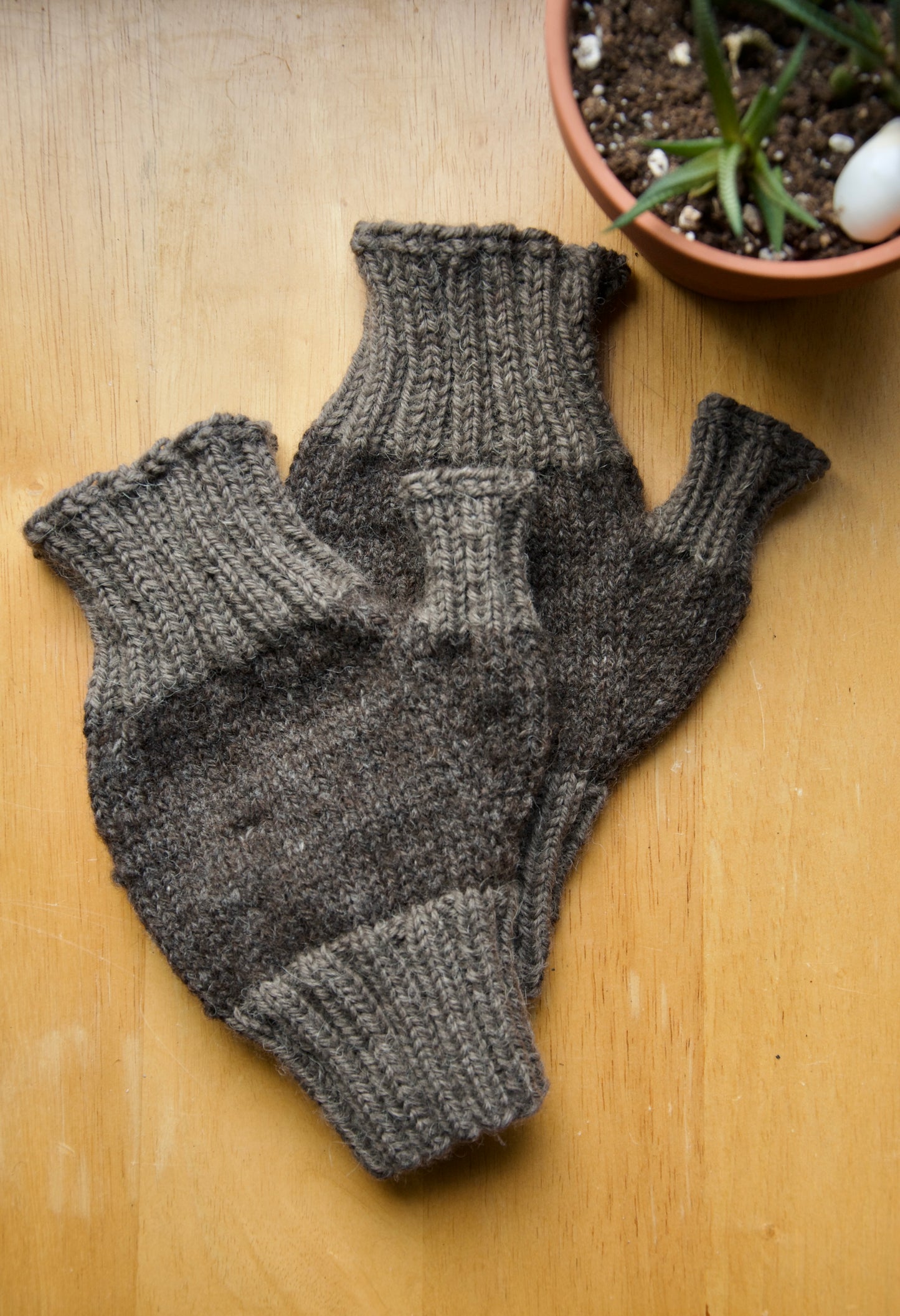 Fingerless Mitts - Multi Colour