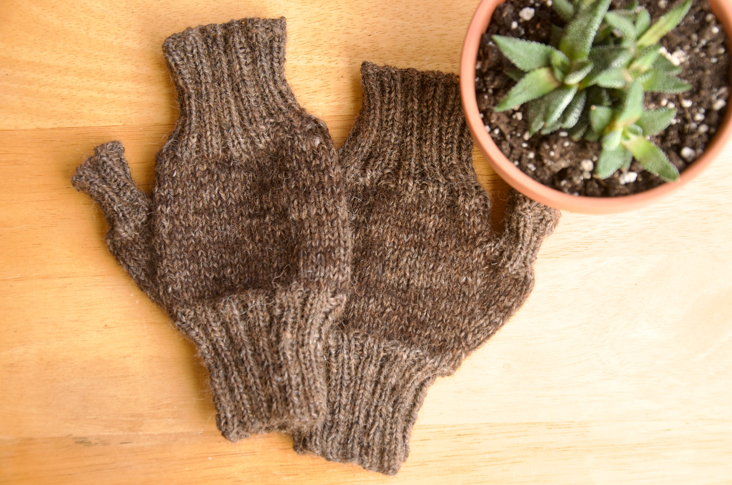 Fingerless Mitts - Multi Colour