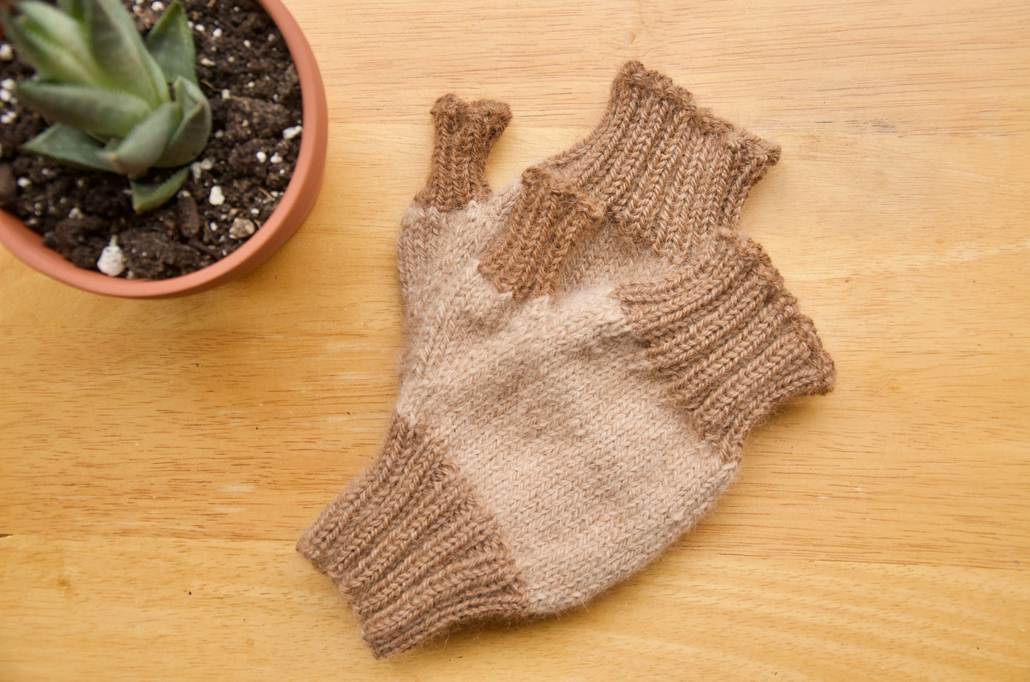 Fingerless Mitts - Multi Colour