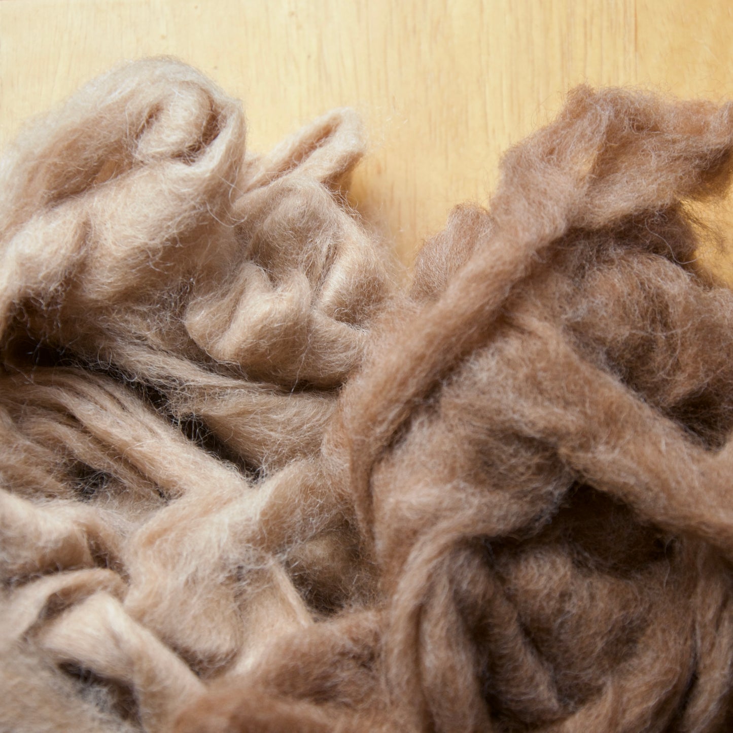 A close-up image of a bundle of multi-colored alpaca roving fibers.