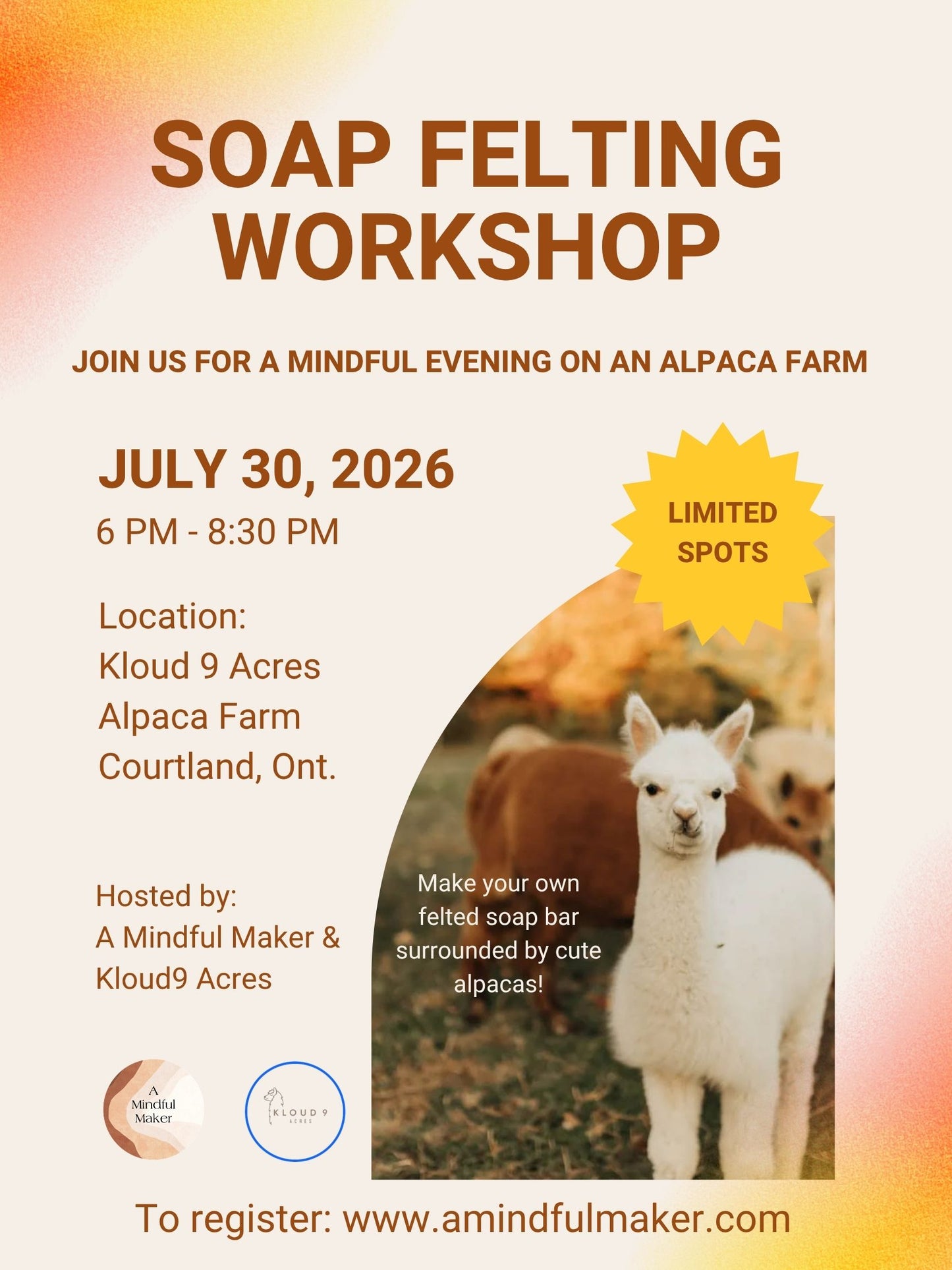 Soap Felting Workshop